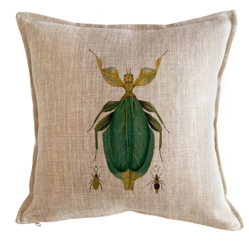 Cojín Antique Insect, 45x45