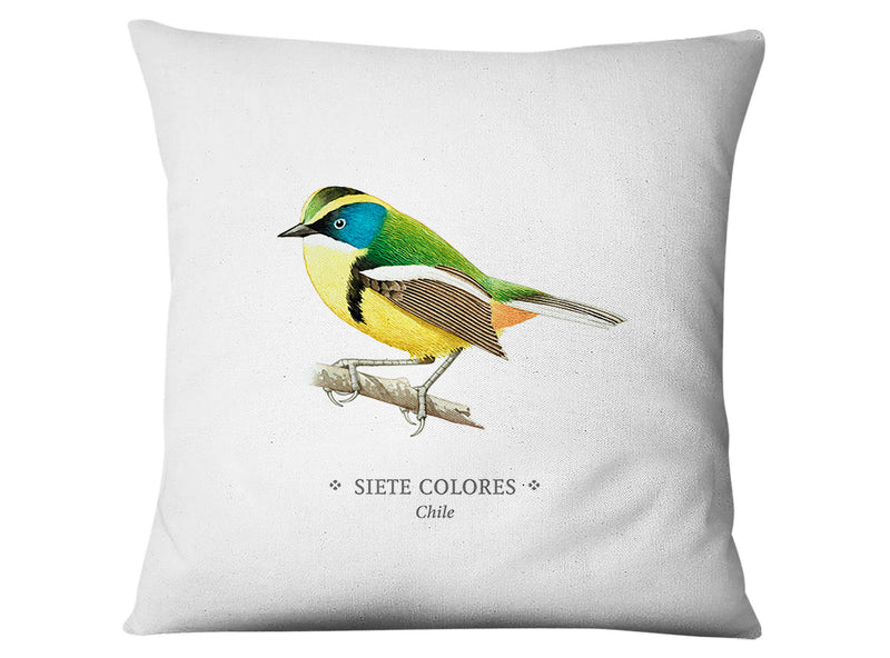 Funda de Cojín Siete Colores