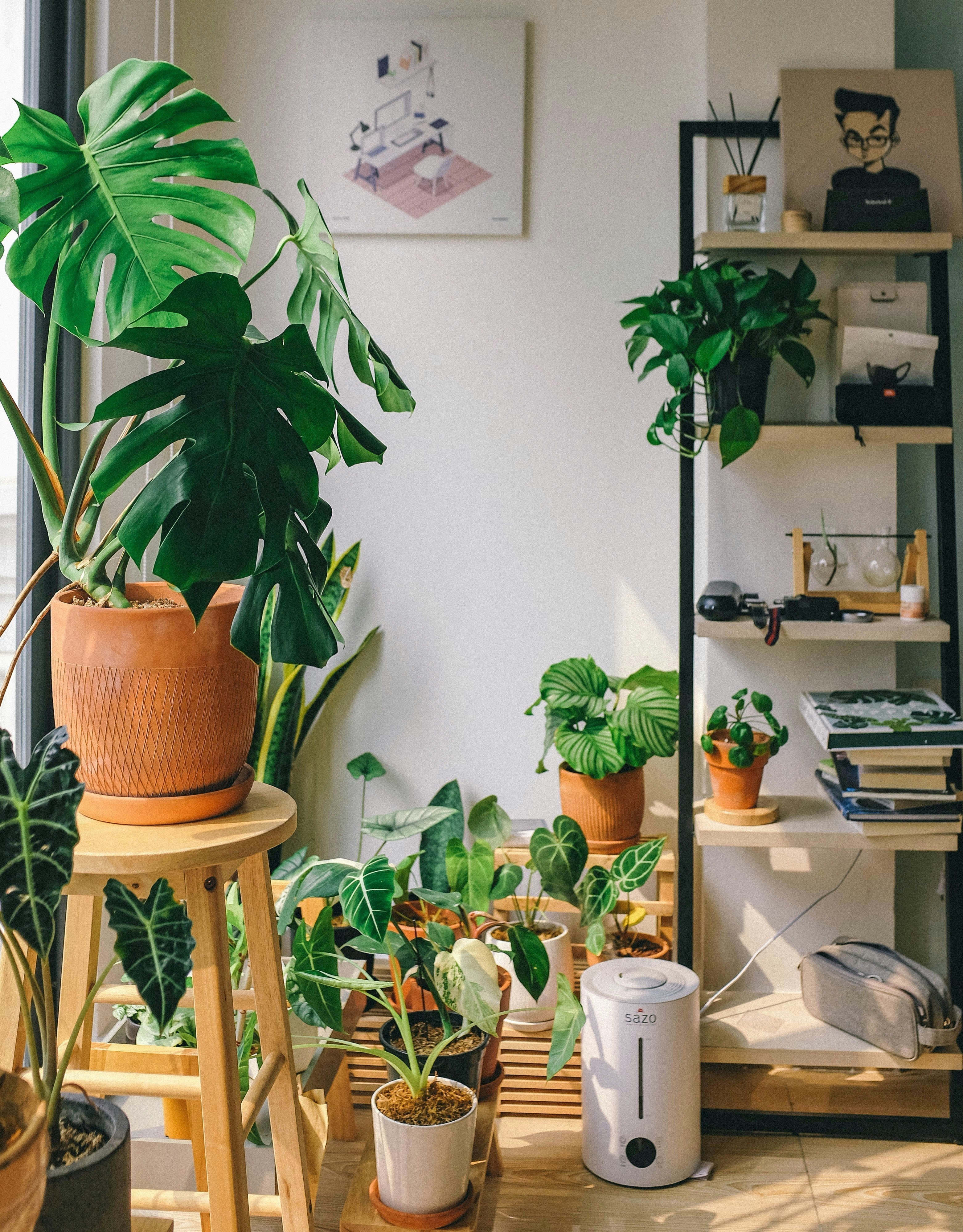Plantas de interior ideales para crear un hogar cálido y acogedor durante el invierno
