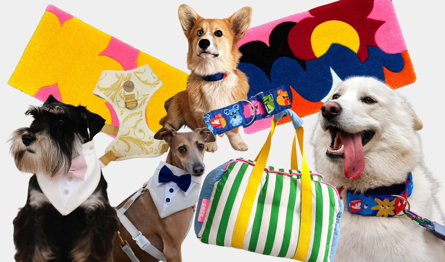 Accesorios de diseño chileno para perros y gatos