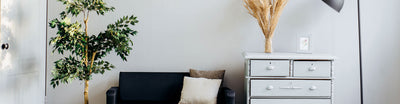 Deco