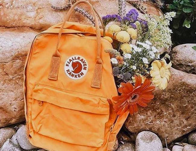 Fjäll Räven