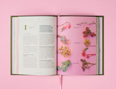 Libros bonitos