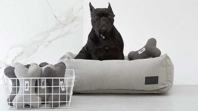Mara design for pets