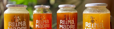 Reina Madre