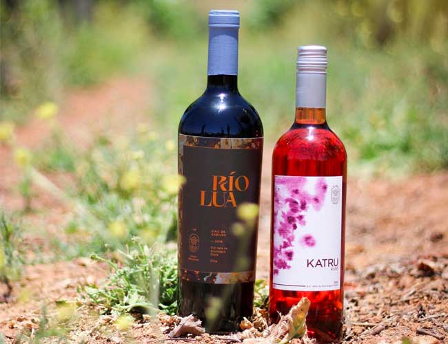 Viña Las Cinco Hermanas