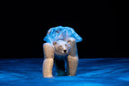Vendido / El Carnaval de los Animales | La Llave Maestra | Teatro CA660 Santiago