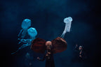 Vendido / El Carnaval de los Animales | La Llave Maestra | Teatro CA660 Santiago