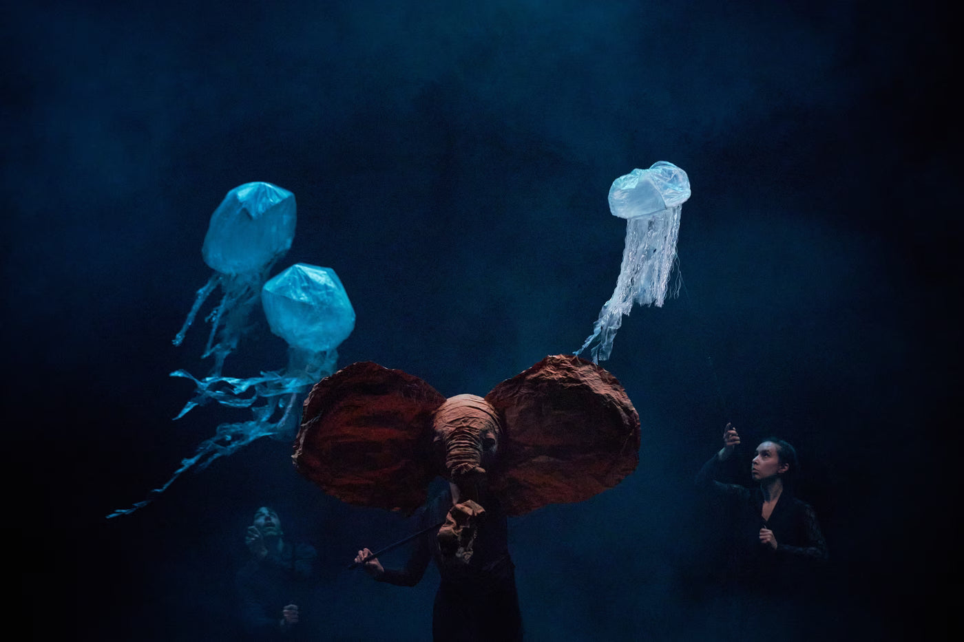 El Carnaval de los Animales | La Llave Maestra | Teatro CA660 Santiago