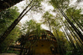 Hotel Reino Fungi