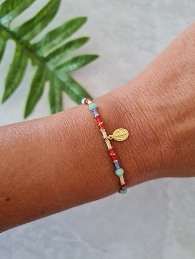 LD1096 - Pulsera Asunción Multicolor