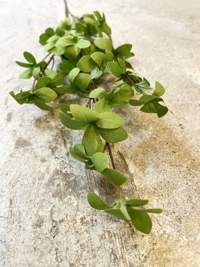 Rama Hoja Verde
