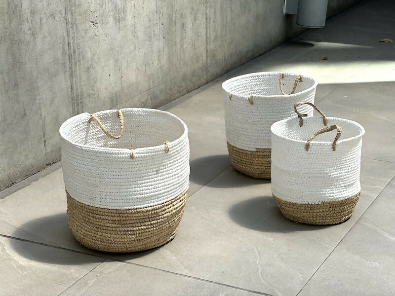 CanastosFranja25OLD2