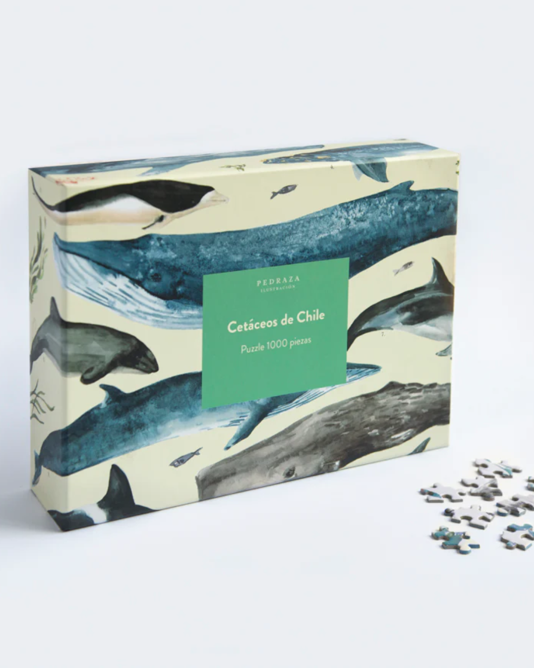 Puzzle ilustrado – Cetáceos de Chile (1000 piezas)