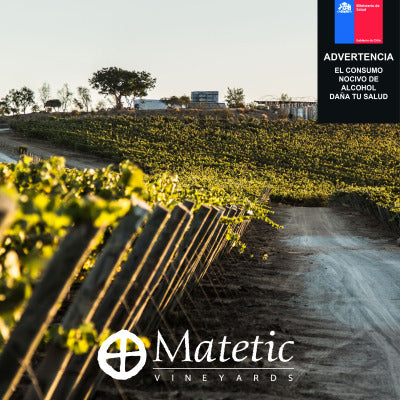 Tour Biodinámico en Viña Matetic – Valle del Rosario