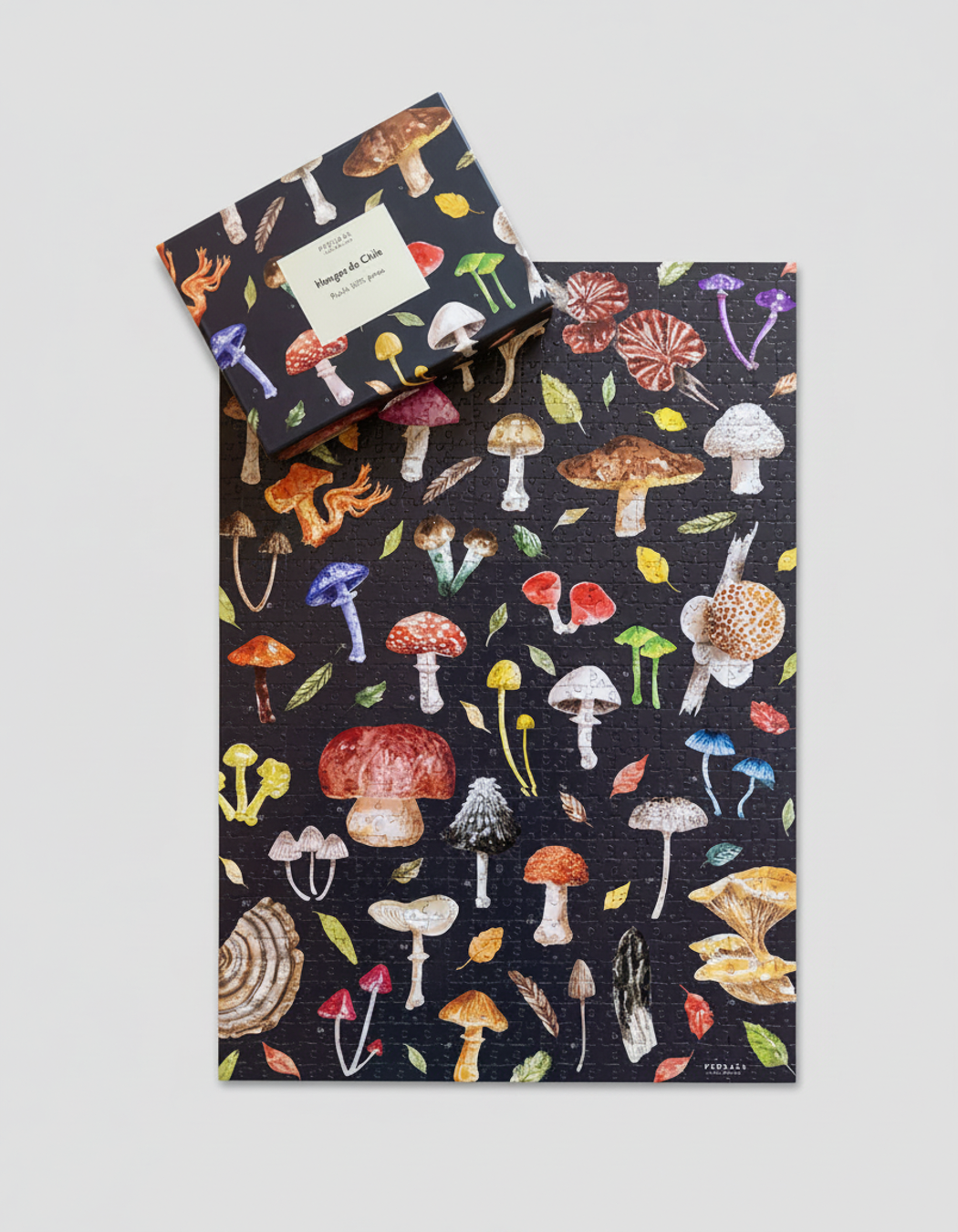 Puzzle ilustrado – Hongos de Chile (1000 piezas)