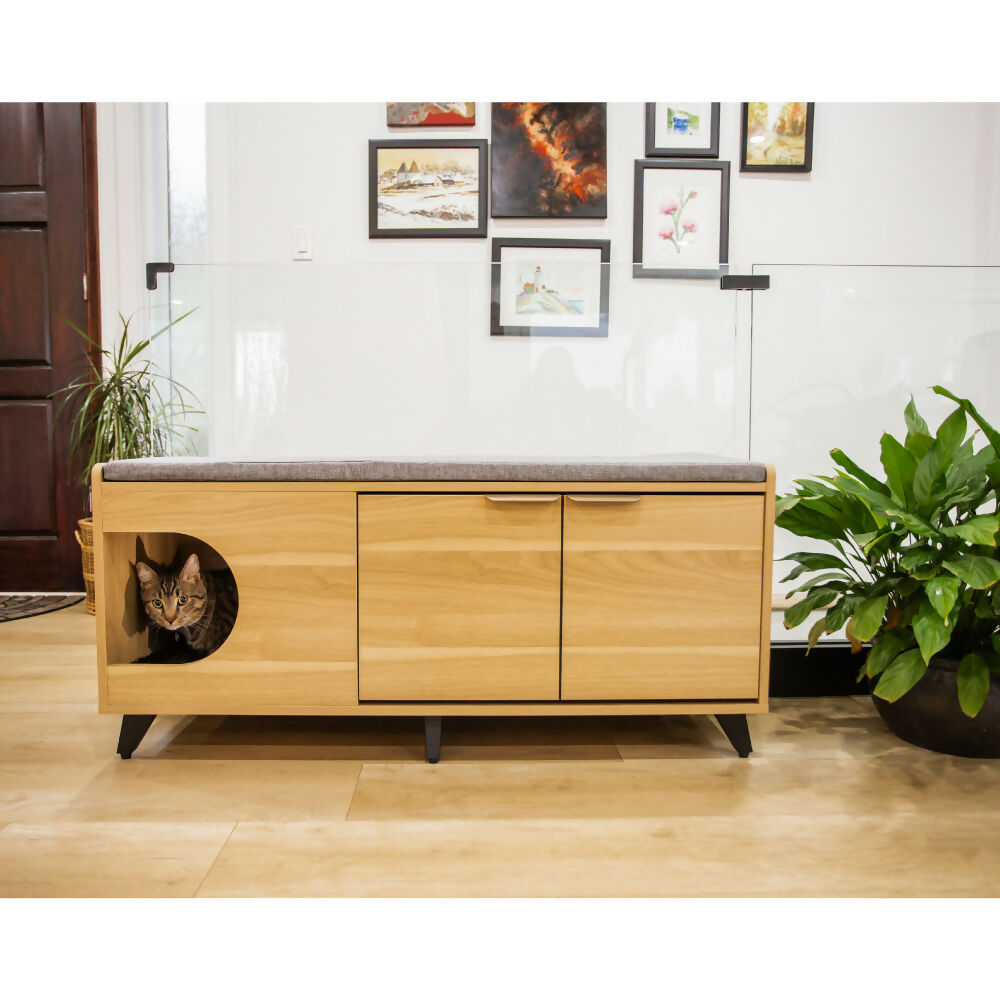 Gabinete zapatero Tucker