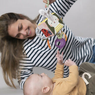 Cubo de Actividades Conejo