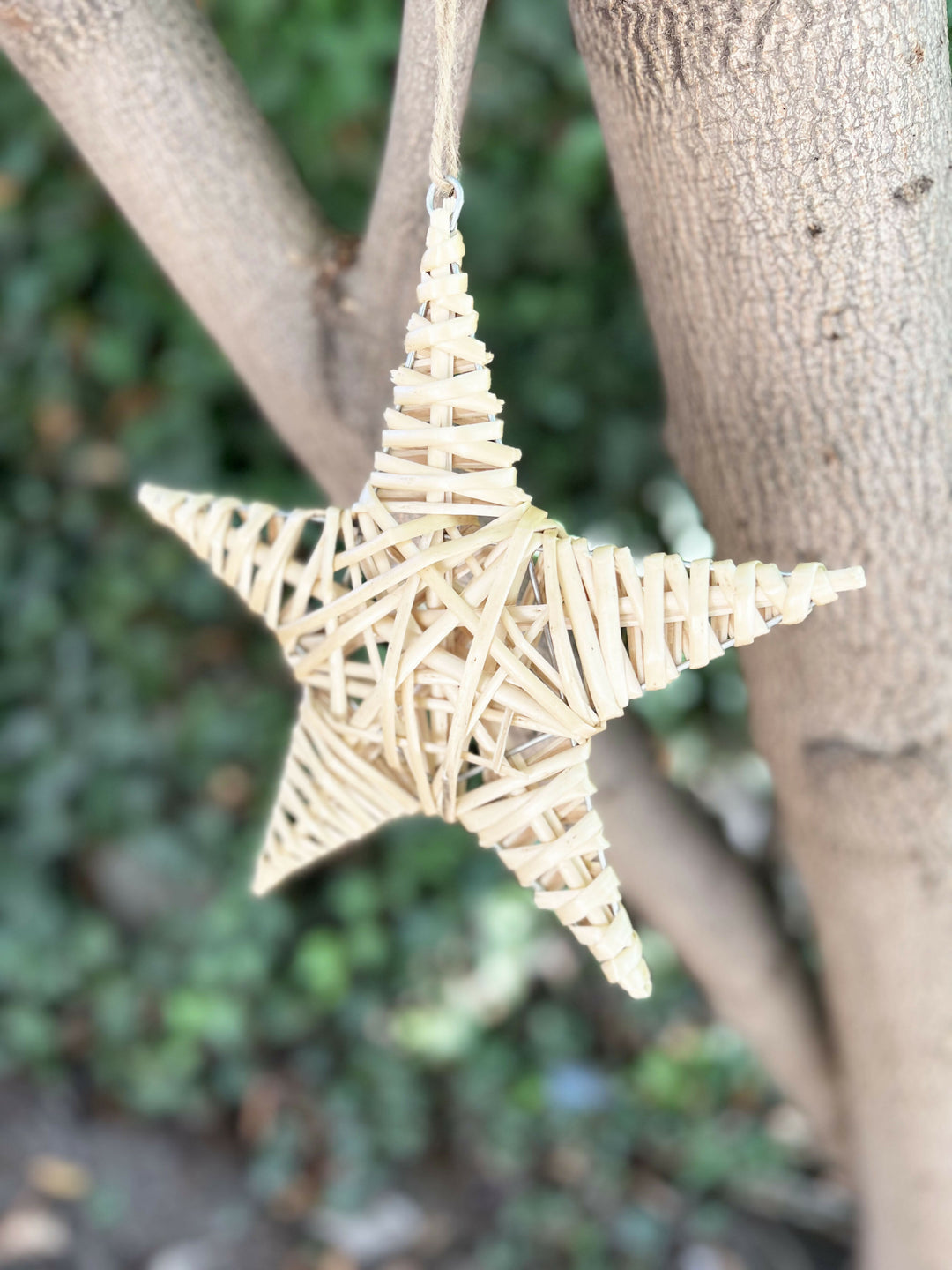 ESTRELLA NATURAL GRANDE