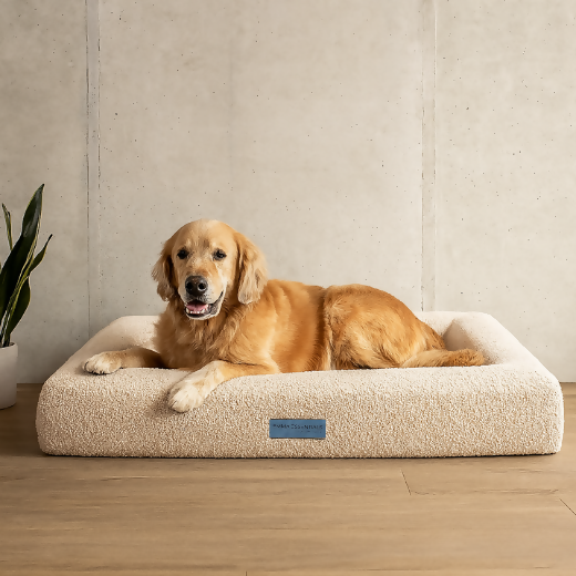 essential beige golden cuadrada