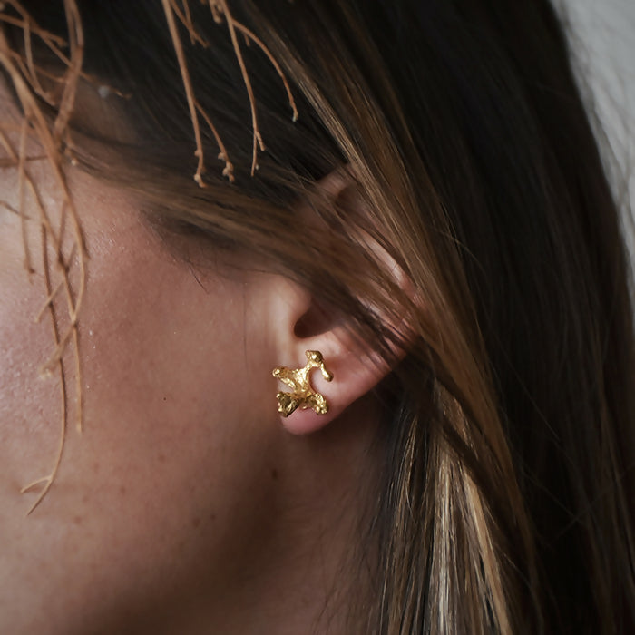 Aros-Haimei-dorados-maialen-2