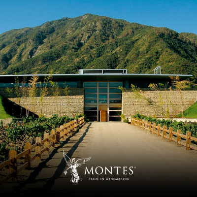tour-doble-icono-vina-montes-precio-por-persona