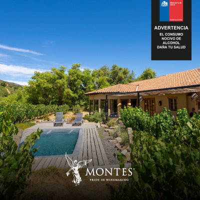 experiencia-casa-huespedes-vina-montes-tour-doble-icono