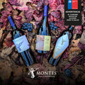 divine-tasting-vina-montes-precio-por-persona