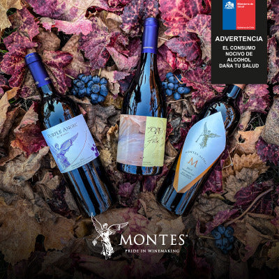 Divine Tasting Viña Montes