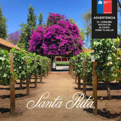 Tour clásico Viña Santa Rita. Valor por persona. - 1