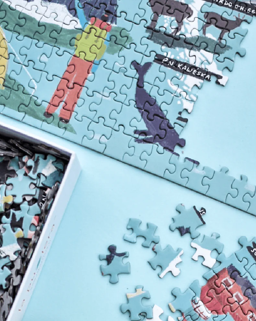 Puzzle Mapa Parques Nacionales de Chile 1000 Piezas