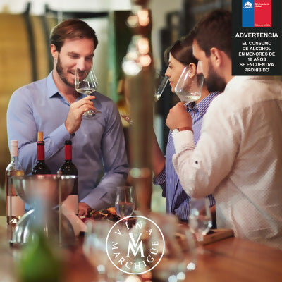 Cata Privada a Domicilio. Viña Marchigüe.