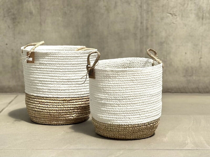 CanastosFranja25OLD4