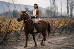 Cabalgata entre los viñedos y paisajes de VIK Chile