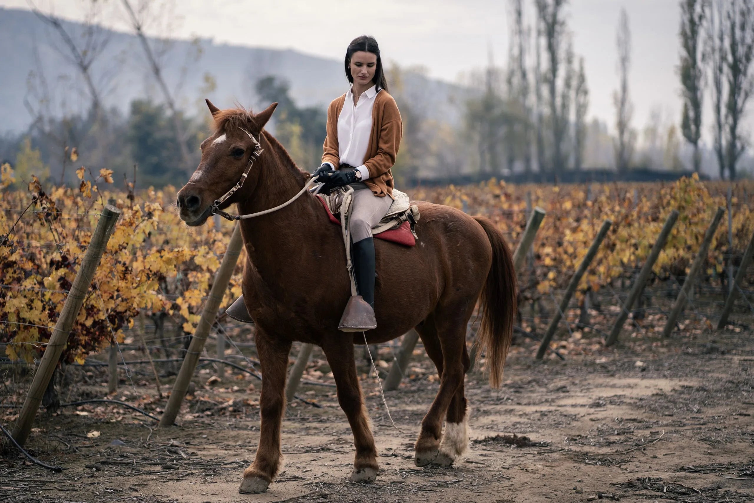Cabalgata entre los viñedos y paisajes de VIK Chile