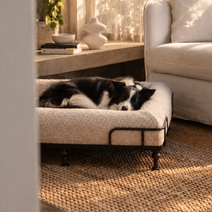 Cama Essential Soho