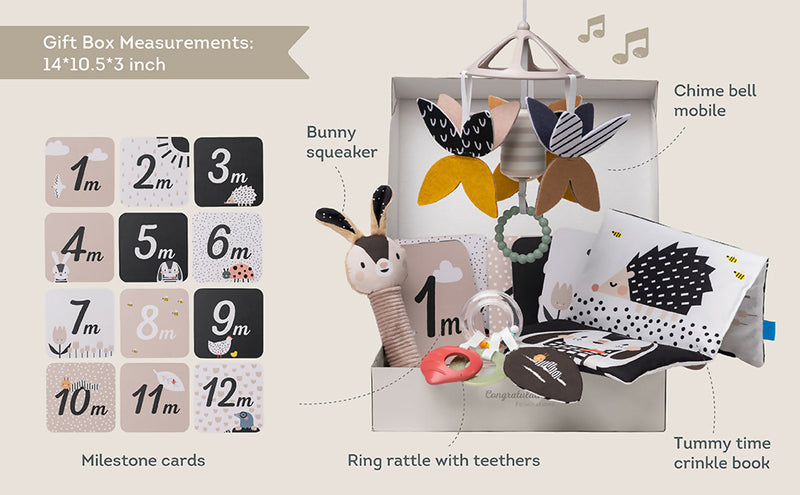 Kit Recién Nacido en Blanco y Negro