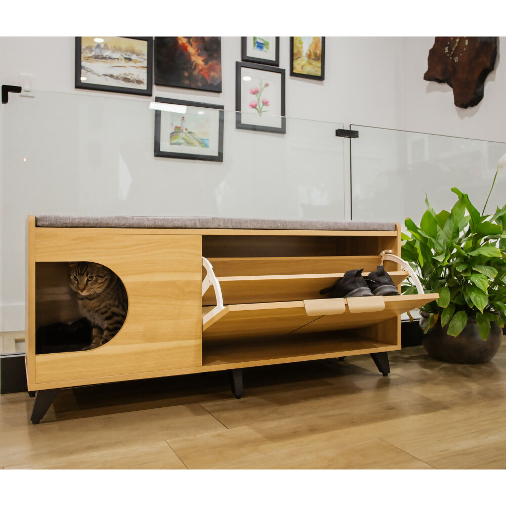 Gabinete zapatero Tucker