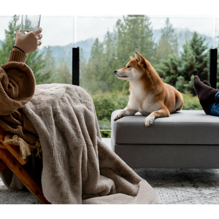 Ottoman para mascota Otto