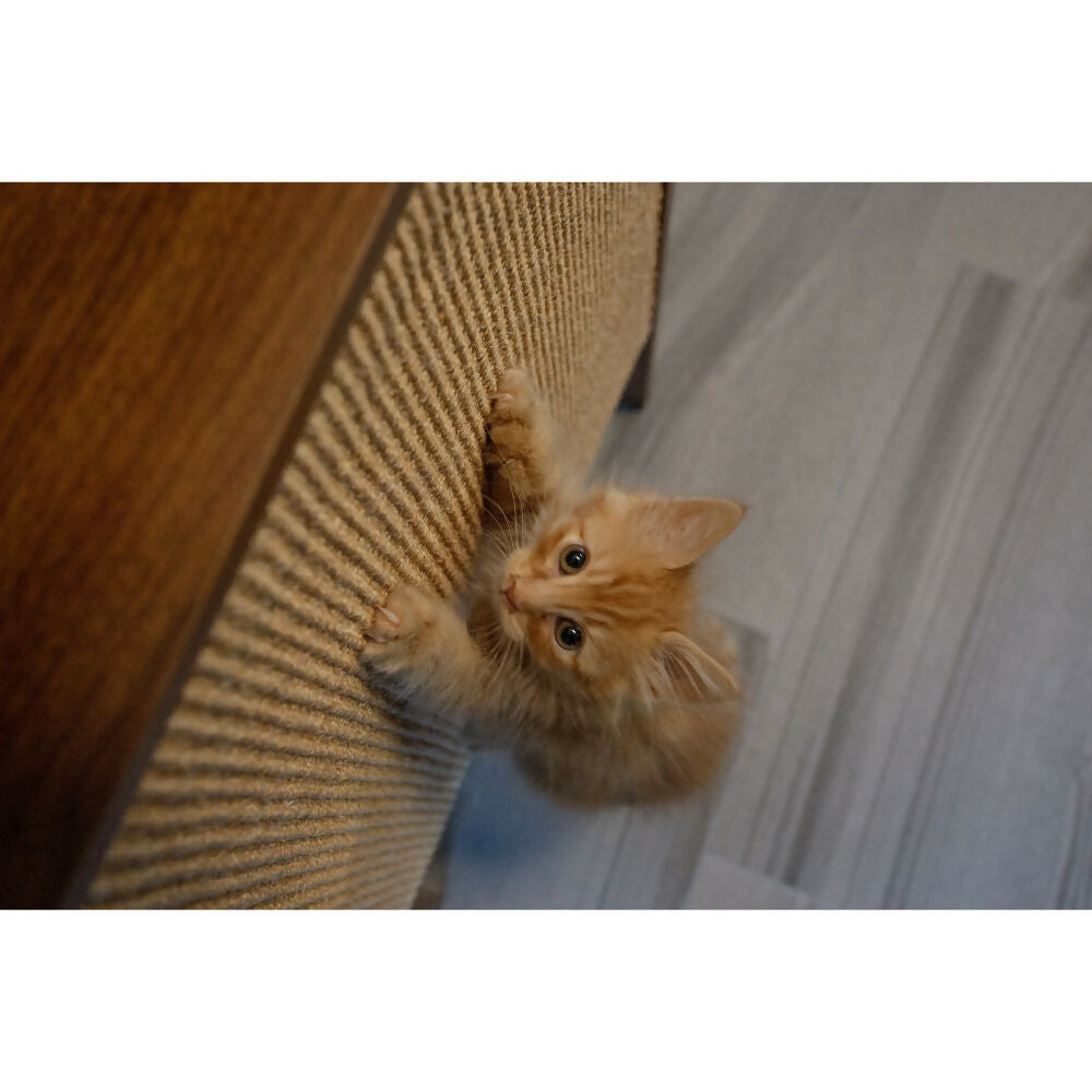 Rascador de pared Wesley con repisa