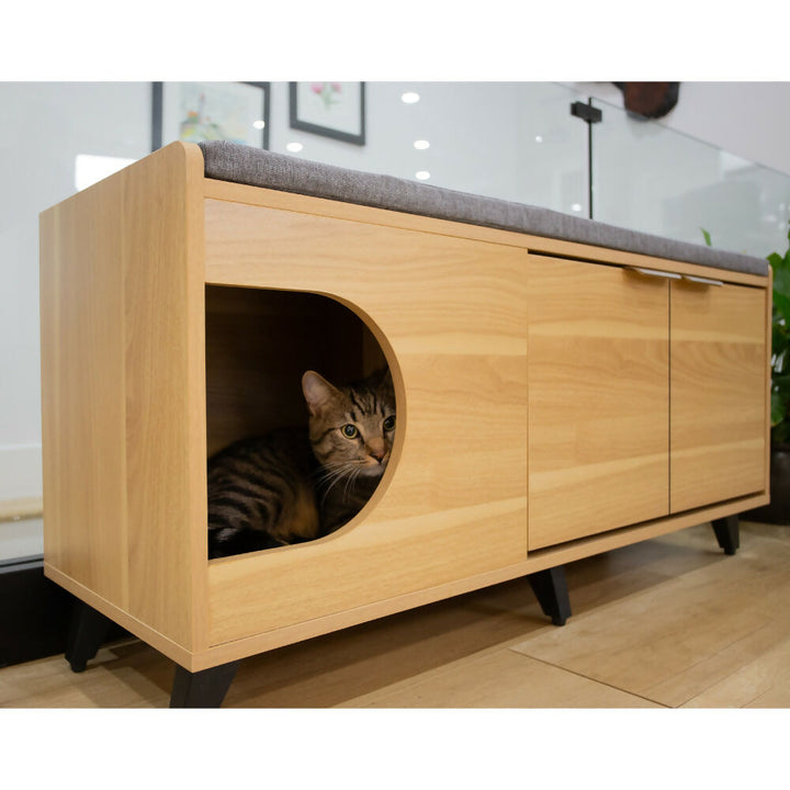 Gabinete zapatero Tucker