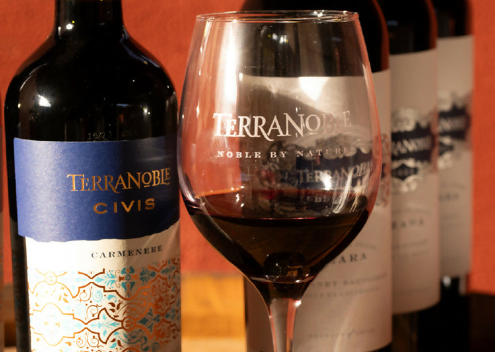 Tour Pasión por El Carmenere