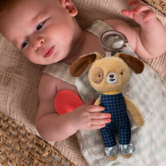 Peluche con Actividades Daniel