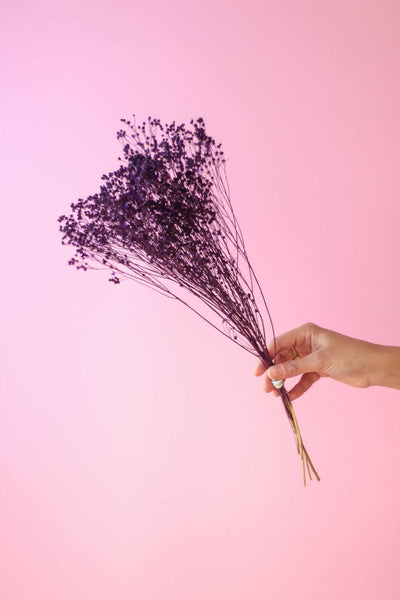retamo morado