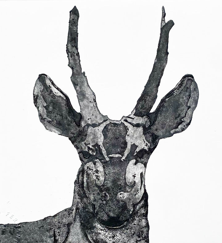 pequeño huemul negro