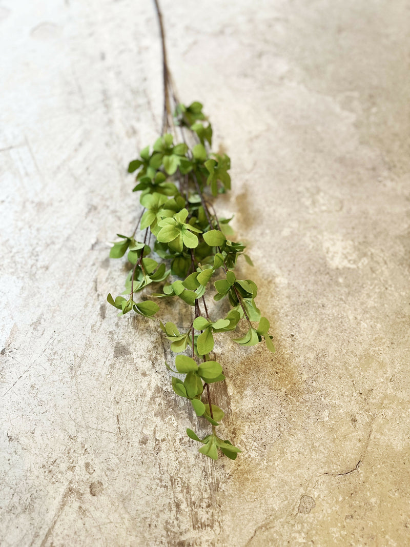 Rama Hoja Verde