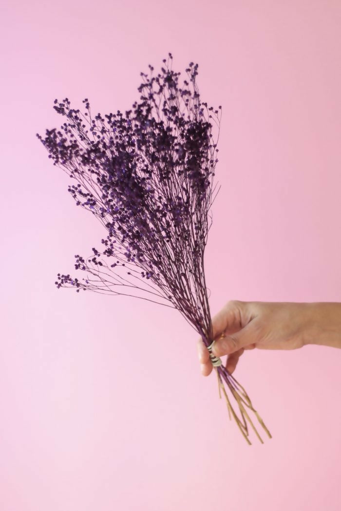 retamo morado 2