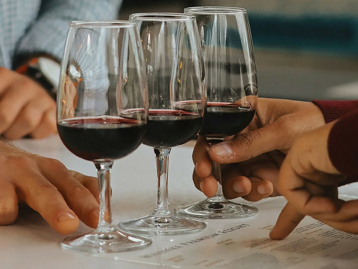 Cata Privada a Domicilio. Viña Marchigüe.