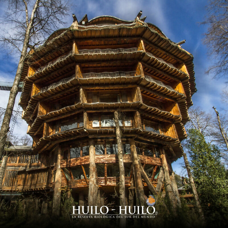 programa-noches-a-eleccion-en-huilo-huilo-montana-magica-nothofagus-reino-fungi-390530-rec