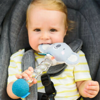 Sonajero de Agua Koala